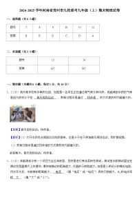 2024-2025学年河南省郑州市九校联考九年级（上）期末物理试卷+答案