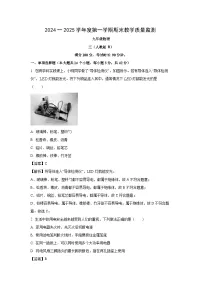 河北省廊坊市霸州市2024-2025学年九年级上学期期末物理试卷（解析版）