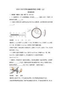 河南省开封市2024-2025学年八年级上学期期中物理试卷（解析版）