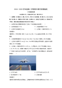 河北省邢台市临西县2024-2025学年八年级上学期期中考试物理试卷（解析版）