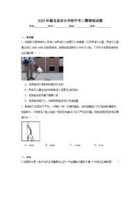 2025年湖北省部分学校中考三模物理试题（无答案）