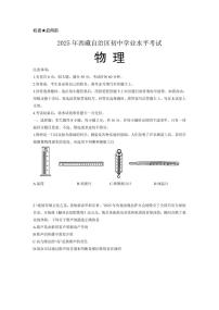 2025年西藏自治区中考物理真题（无答案）