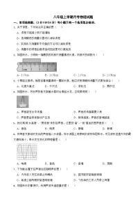 广东省茂名市2025年八年级上学期月考物理试题附答案