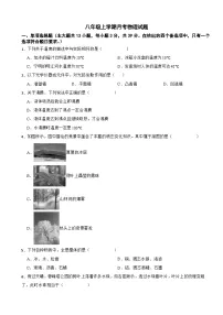 广西壮族自治区崇左市2025年八年级上学期月考物理试题附答案