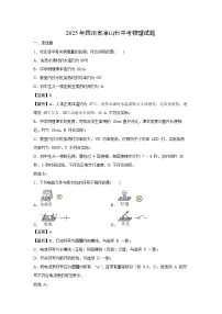2025年四川省凉山州中考真题物理试卷(解析版)