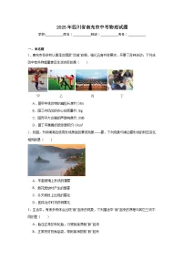 2025年四川省南充市中考物理试题（附答案解析）