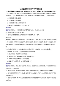 山东省潍坊市2025年中考物理真题附同步解析答案