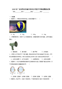 2025年广东省茂名市高州市部分学校中考物理模拟试卷（附答案解析）