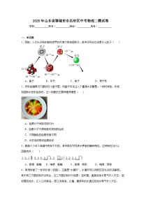 2025年山东省聊城市东昌府区中考物理二模试卷（附答案解析）