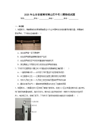 2025年山东省淄博市博山区中考三模物理试题（附答案解析）