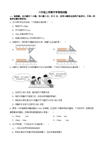 广东省茂名市2025年八年级上学期月考物理试题附答案