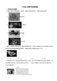 广东省深圳市宝安区2025 年八年级上学期月考物理试题附答案