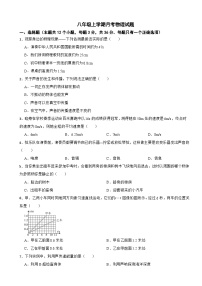 湖南省岳阳市2025年八年级上学期月考物理试题附答案