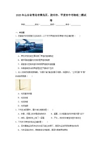 2025年山东省青岛市黄岛区、胶州市、平度市中考物理二模试卷（附答案解析）