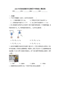 2025年河南省漯河市召陵区中考物理三模试卷（附答案解析）