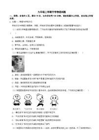 广东深圳龙岗区2025年九年级上学期月考物理试题附答案