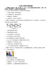 广东省珠海市香洲区2025年九年级上学期月考物理试题附答案