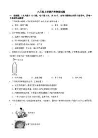 湖南省岳阳市2025年九年级上学期月考物理试题附答案