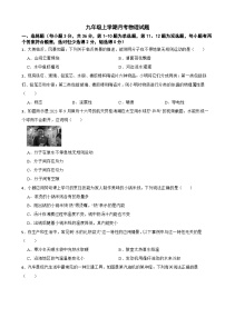 湖南省长沙市2025年九年级上学期月考物理试题附答案