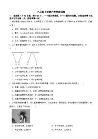 云南省曲靖市2025年九年级上学期月考物理试题附答案