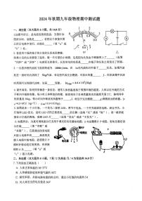河南省驻马店市驿城区2024-2025学年九年级上学期11月期中物理试题