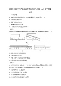 广东省深圳市龙岗区2024-2025学年八年级上学期期中物理试卷