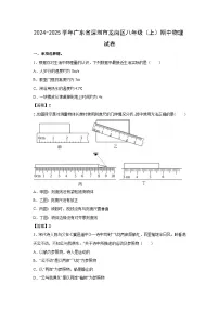 广东省深圳市龙岗区2024-2025学年八年级上学期期中物理试卷