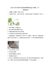 广东省深圳市宝安区2024-2025学年八年级下学期期末物理试卷（学生版）