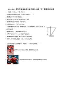 2024-2025学年河南省南阳市南召县八年级（下）期末物理试卷-自定义类型