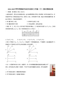 2024-2025学年河南省许昌市长葛市八年级（下）期末物理试卷-自定义类型