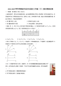 2024-2025学年河南省许昌市长葛市八年级（下）期末物理试卷-自定义类型