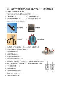 2024-2025学年河南省驻马店市上蔡县八年级（下）期末物理试卷-自定义类型
