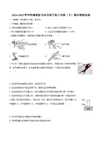 2024-2025学年河南省驻马店市西平县八年级（下）期末物理试卷-自定义类型