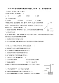 2024-2025学年湖南省郴州市汝城县八年级（下）期末物理试卷-自定义类型