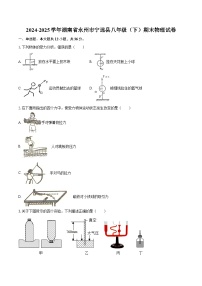 2024-2025学年湖南省永州市宁远县八年级（下）期末物理试卷-自定义类型