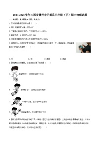 2024-2025学年江西省赣州市于都县八年级（下）期末物理试卷-自定义类型