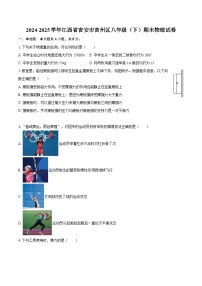 2024-2025学年江西省吉安市吉州区八年级（下）期末物理试卷-自定义类型