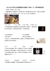 2024-2025学年山东省聊城市高唐县八年级（下）期末物理试卷-自定义类型