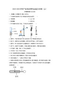 广东省深圳市龙岗区2024-2025学年九年级上学期月考（10月份）物理试卷（学生版）