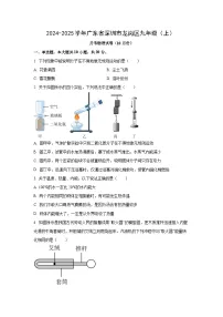 广东省深圳市龙岗区2024-2025学年九年级上学期月考（10月份）物理试卷（学生版）