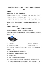 广东省深圳市龙岗区2024-2025学年九年级上学期期末考试物理试卷（学生版）