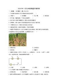 广东省深圳市2024-2025学年九年级上学期10月月考物理试卷（学生版）