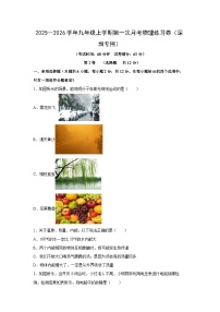 广东省深圳市2025—2026学年九年级上学期第一次月考练习卷物理试卷（学生版）