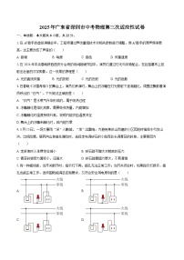 2025年广东省深圳市中考物理第三次适应性试卷-自定义类型