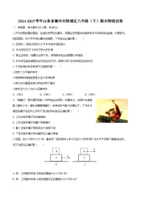 2024-2025学年山东省德州市陵城区八年级（下）期末物理试卷-自定义类型