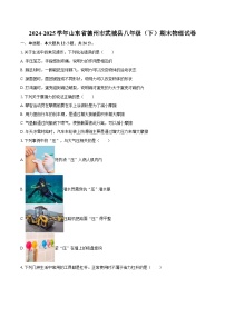 2024-2025学年山东省德州市武城县八年级（下）期末物理试卷-自定义类型