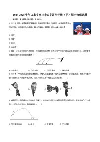 2024-2025学年山东省枣庄市山亭区八年级（下）期末物理试卷-自定义类型