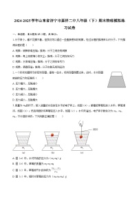 2024-2025学年山东省济宁市嘉祥二中八年级（下）期末物理模拟练习试卷-自定义类型