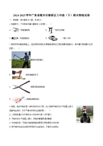 2024-2025学年广东省潮州市湘桥区八年级（下）期末物理试卷-自定义类型
