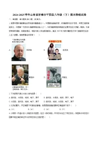 2024-2025学年山东省济南市平阴县八年级（下）期末物理试卷-自定义类型